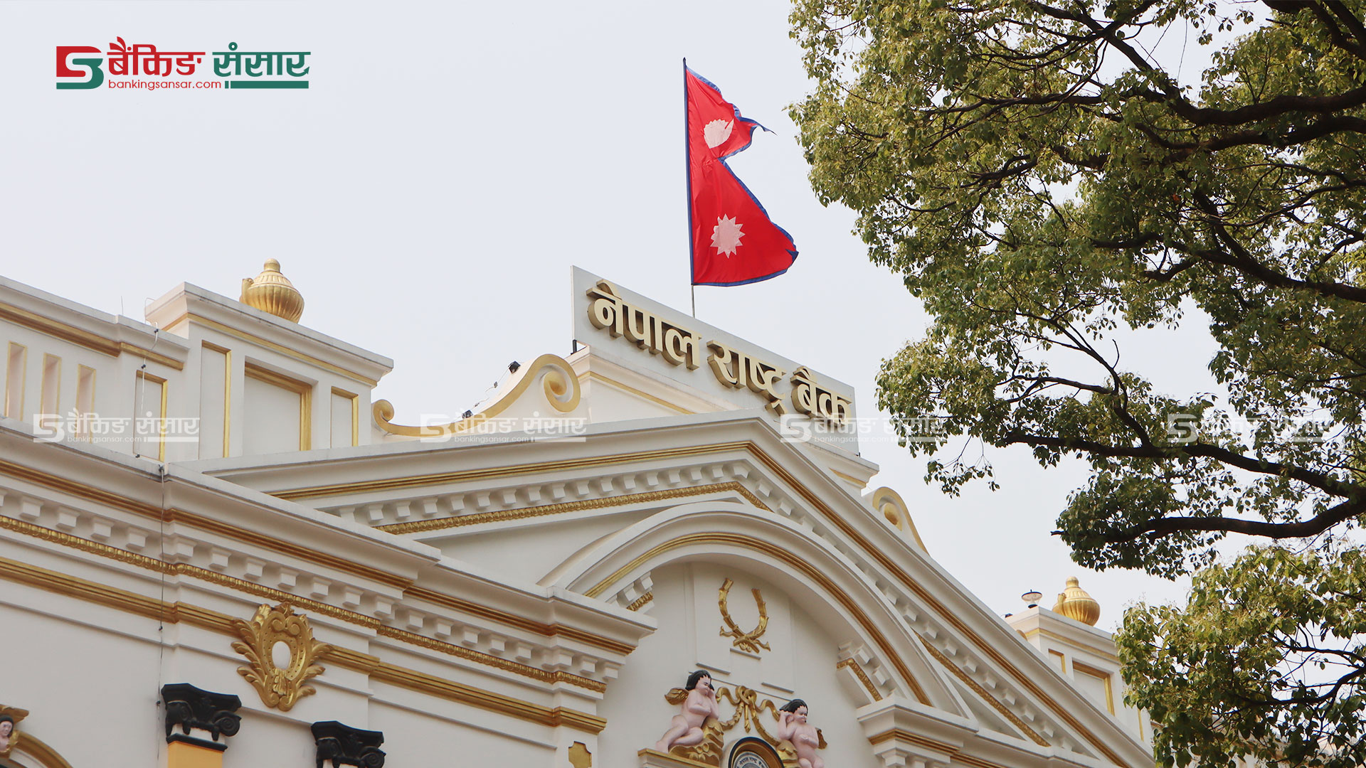 नेपाल राष्ट्र बैंकले खारेज गर्यो इनेट पेमेन्टको अनुमतिपत्र…(सूचनासहित)